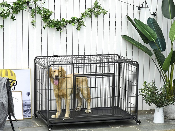 48-inch-dog-crate