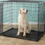 54-inch-dog-crate
