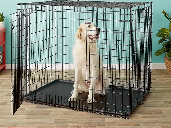 54-inch-dog-crate