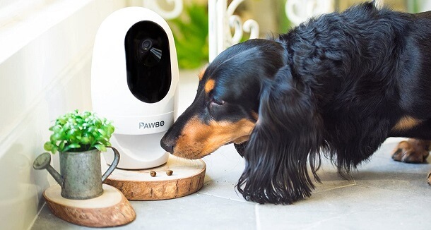 benefits of pet camera with treat dispenser