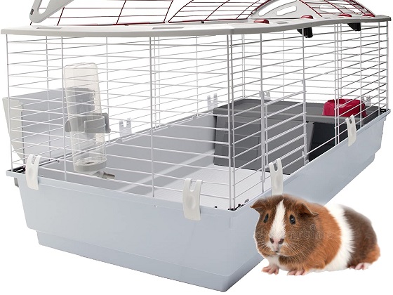 big-extra-large-guinea-pig-cages