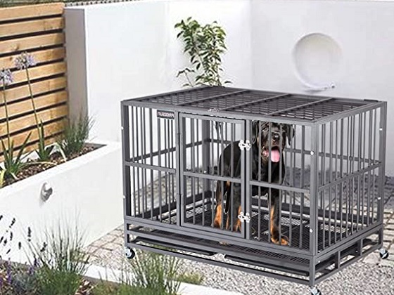 cheap-crates-cages-for-dogs