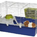 cheap-guinea-pig-cages