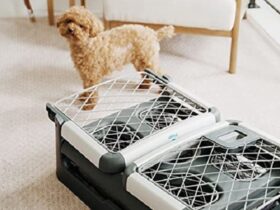 collapsible-foldable-cage-crate-for-dogs