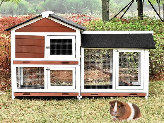 guinea-pig-hutch