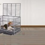 high-anxiety-dog-crate