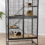 indoor-guinea-pig-cage