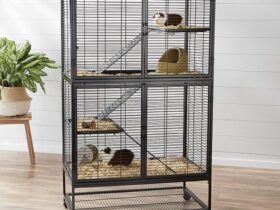 indoor-guinea-pig-cage