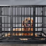 large-big-dog-cage-crate