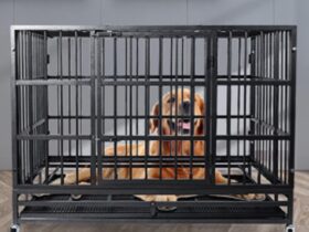 large-big-dog-cage-crate