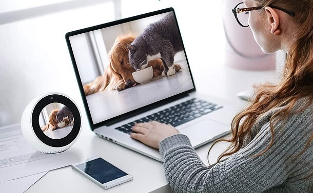 monitor home through puppy cam