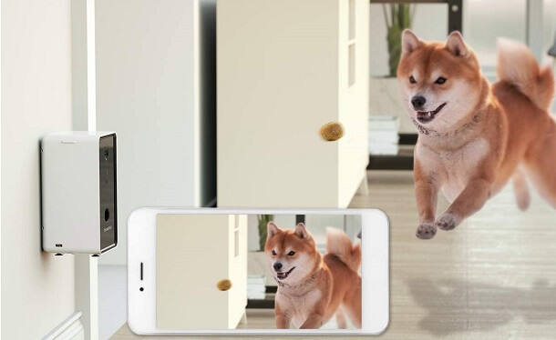 pet camera that tosses treats