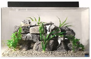 Best 20 Gallons Shallow Tank