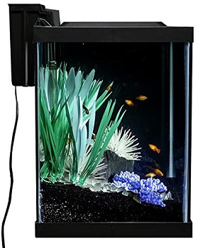 Best Coral Reef Parrot Fish Tank