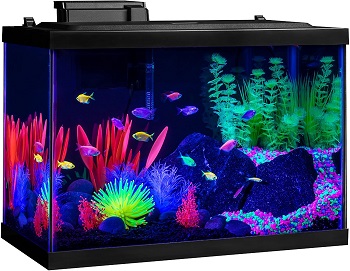 Best Corner Parrot Fish Tank