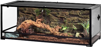 Best Corner Shallow Fish Tank