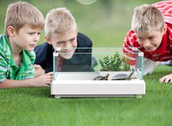 Best Cube Musk Turtle Tank