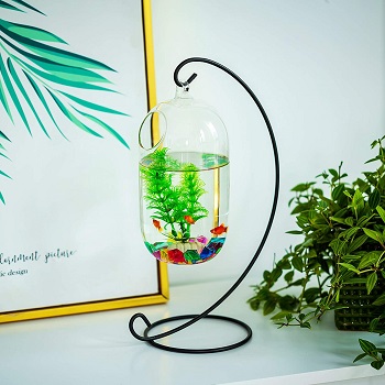 Best Hanging Fish Bowl With Stand 