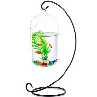 Best Hanging Fish Bowl With Stand summary