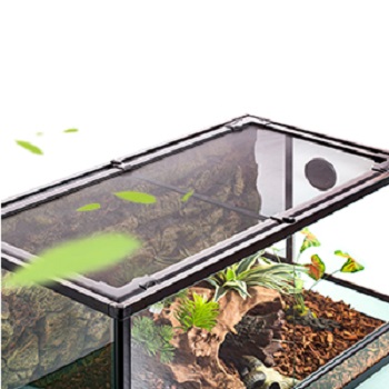 Best Musk Turtle Starter Kit2