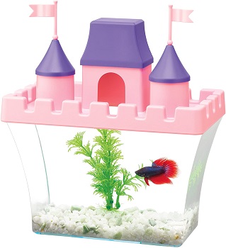 Best Of Best Princess Fish Tank