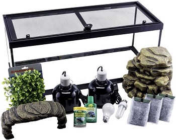 Best Planted Musk Turtle Tank2