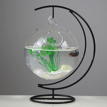 Best Small Hanging Fish Tank