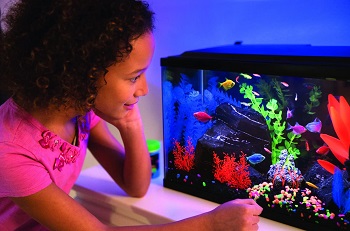 GloFish Aquarium Kit Fish Tank