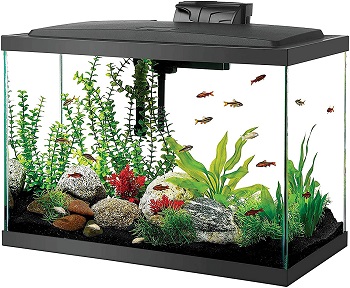 aqueon aquarium starter kit