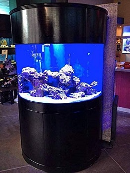 bbest-glass-floor-aquarium