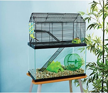 best fancy rat cage