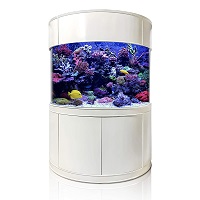 best floor to ceiling aquarium summary