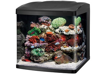 best of best floor aquarium