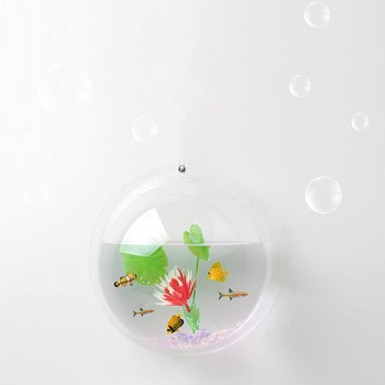 best of best hanging aquarium