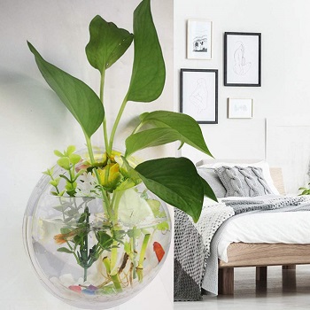 best wall hanging aquarium