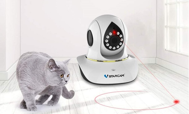 cat camera with laser