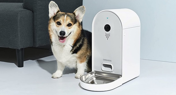 clean dog camera for food or treats