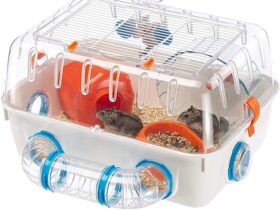 dwarf-hamster-cages