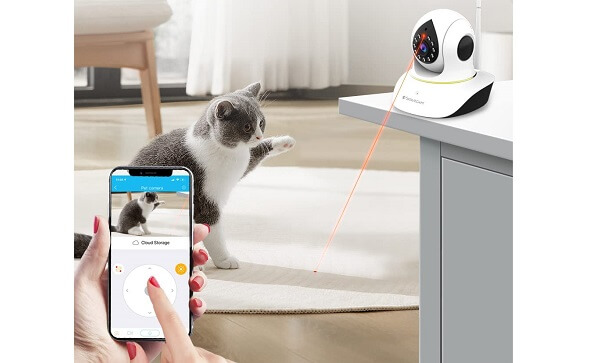 entertain your cat with cat camera
