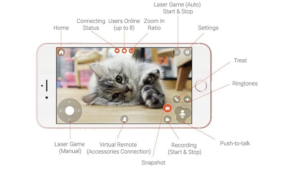 features of cat camera