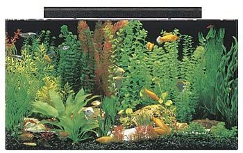 seaclear acrylic aquarium 
