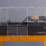 syrian-hamster-cages
