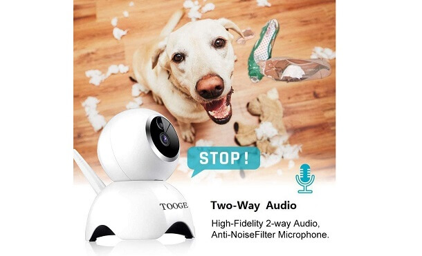 two way interactive pet camera