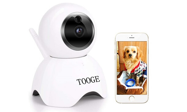 what is dog camera