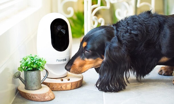 what is pet camera