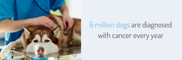 6 million dogs are diagnosed with cancer every year