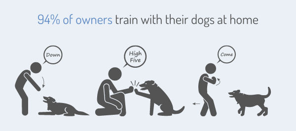 94% of owners train with their dogs at home