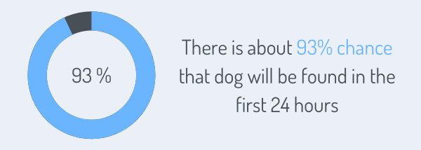 According to ASPCA, there is about 93% chance that dog will be found in the first 24 hours