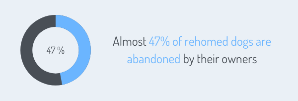 Almost 47% of rehomed dogs are abandoned by their owners