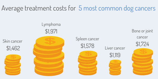 Average treatment costs for 5 most common dog cancers
